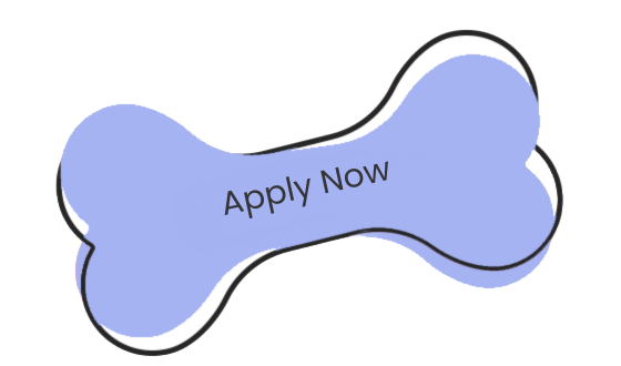 Apply Now 2