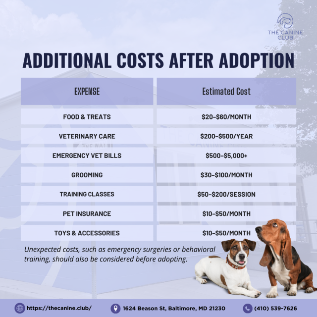 Poster About Additional Costs After Adoption