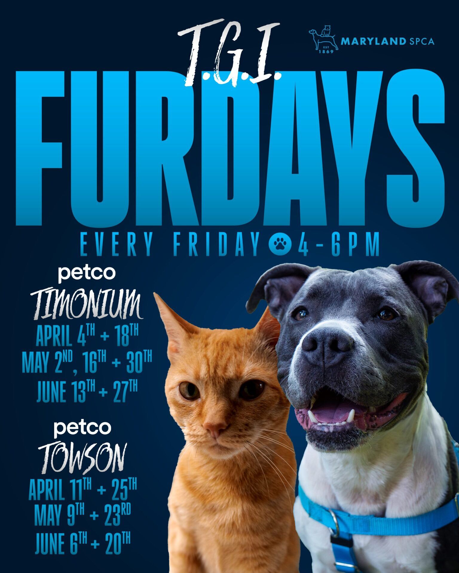 T.G.I. Furdays