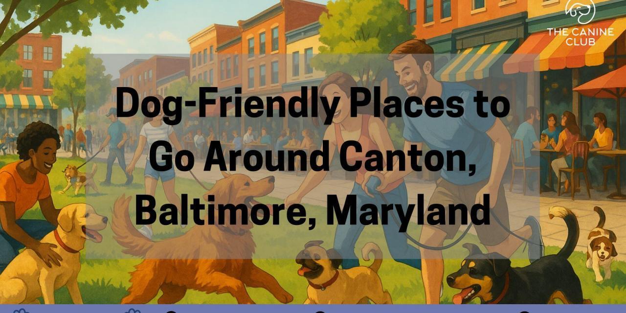 Dog-Friendly Places to Go Around Canton Neighborhood