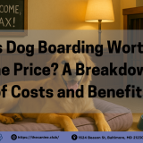 A cozy dog boarding suite featuring a relaxed golden retriever resting on a soft lavender dog bed beside a blue water bowl, with warm lighting and a chalkboard sign that reads “Welcome, Max!”—illustrating a comforting and luxurious dog hotel experience.
