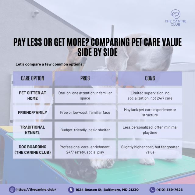 Infographic comparing common pet care options—pet sitters, friend/family, traditional kennels, and professional dog boarding at The Canine Club—highlighting pros and cons in terms of supervision, safety, and enrichment. This side-by-side chart emphasizes the added value of dog boarding services like 24/7 care, structured play, and professional support, helping pet parents evaluate whether dog boarding is worth the cost.