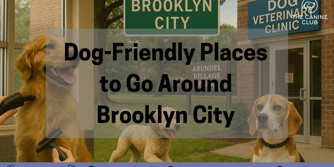 Dog-Friendly Places to Go Around Brooklyn City