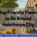 A scenic street view in Halethorpe City showing a man walking his German Shepherd near a park entrance, a golden retriever resting nearby, and two people dining at a dog-friendly patio while a vet gently greets a beagle—capturing everyday dog-friendly spots like parks, restaurants, and vet clinics.