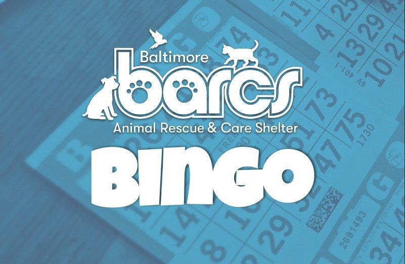 BARCS Bingo