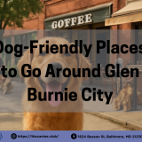 A joyful golden retriever strolling in a sunny, dog-friendly neighborhood in Glen Burnie. The dog is walking past a coffee shop with a relaxed owner enjoying a coffee, while other dogs play in the background at the park. The image captures the welcoming, pet-friendly vibe of the area, perfect for pet owners looking to explore Glen Burnie with their dogs.