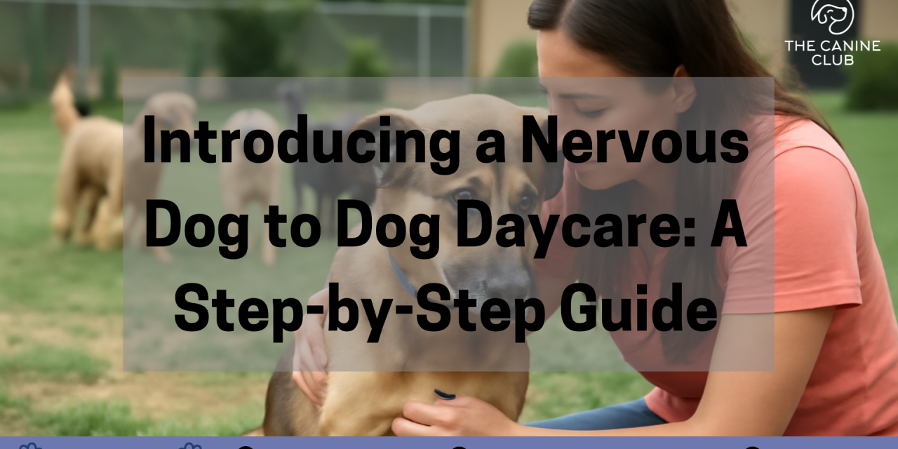 Introducing a Nervous Dog to Dog Daycare: A Step-by-Step Guide