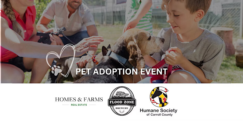 Pet Adoption Event at Flood Zone Brewery!