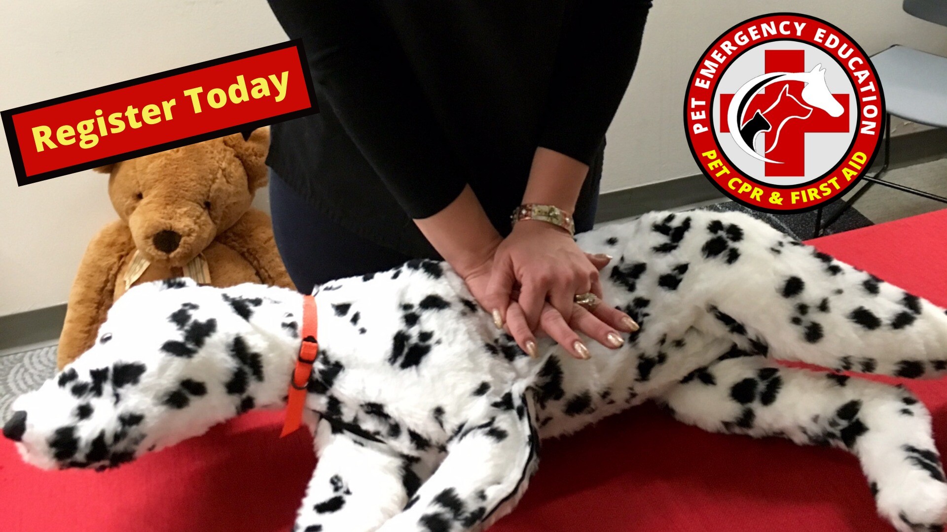 Pet CPR and First Aid Certification