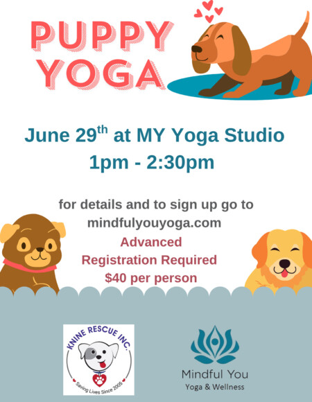 Puppy Yoga at Mindful You Yoga Studio