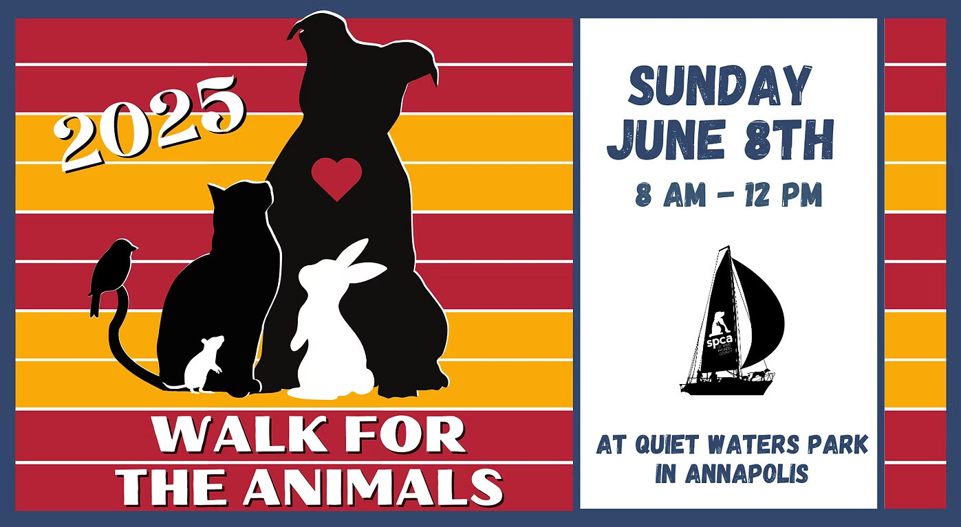 Walk for the Animals
