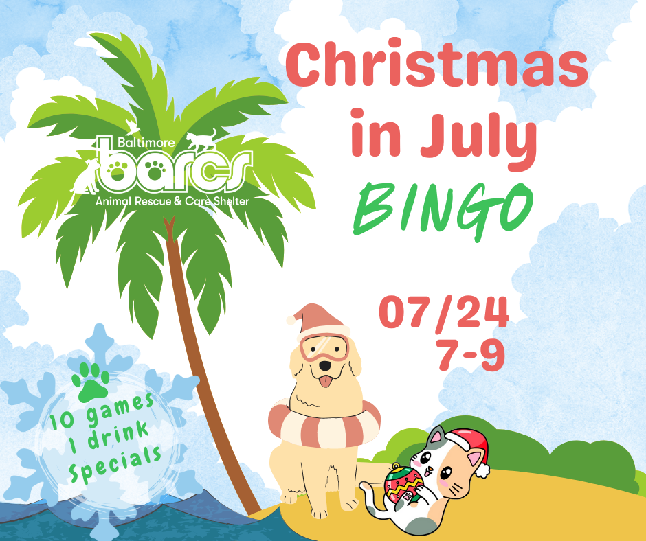 Christmas in July Bingo