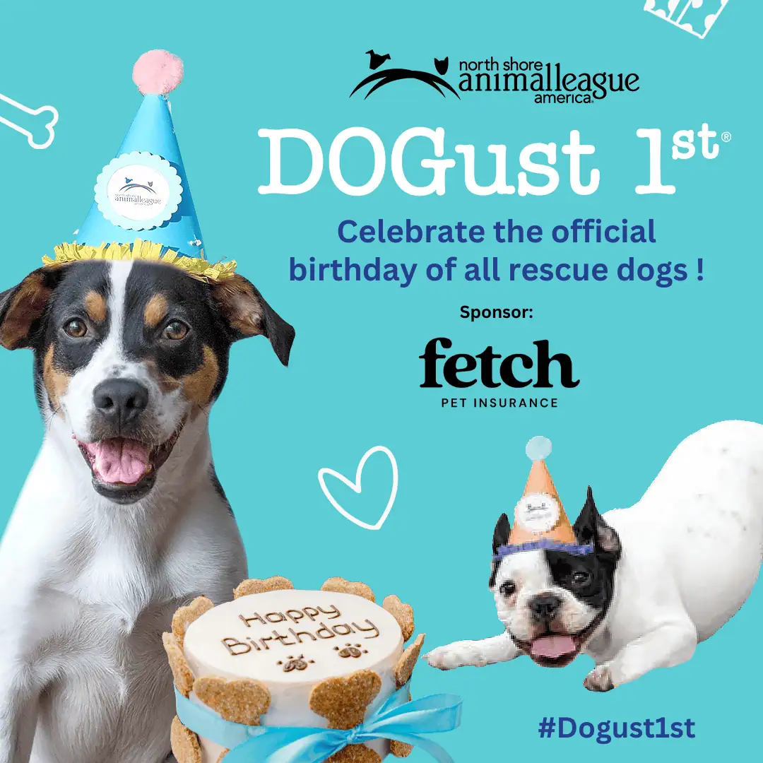 DOGust 1st Nationwide Shelter Dogs’ Birthday Celebration!