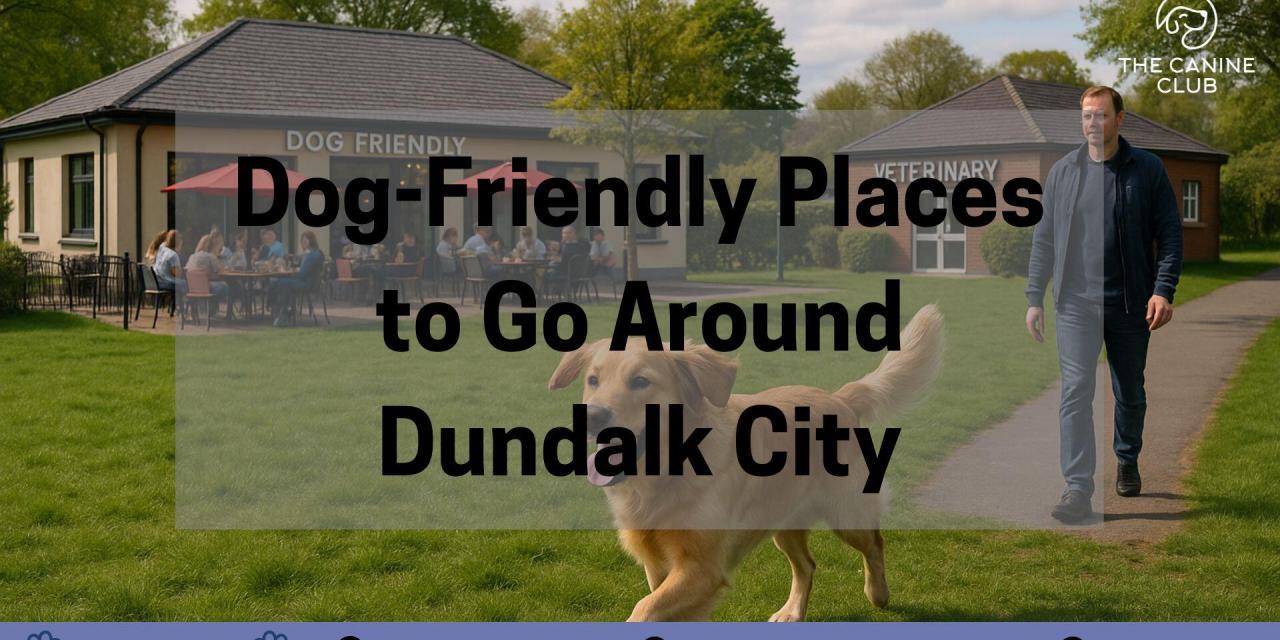 Dog-Friendly Places to Go Around Dundalk City