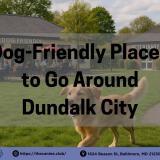 A happy golden retriever runs freely across a lush green park in Dundalk while its owner strolls nearby on a paved path; in the background, people dine at a dog-friendly restaurant with outdoor seating beside a local veterinary clinic—showcasing a vibrant, pet-welcoming community space perfect for dog lovers.