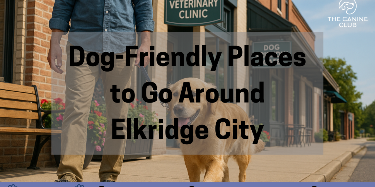 Dog-Friendly Places to Go Around Elkridge City