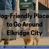 Man walking a happy golden retriever along a dog-friendly street in Elkridge City, passing local shops including a veterinary clinic and dog cafe, promoting pet-friendly places to visit with your dog