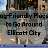 A collage of three dogs enjoying dog-friendly spots in Ellicott City, including a golden retriever playing at a park, a beagle sitting outside a café, and a pit bull mix relaxing beside an outdoor dining table.