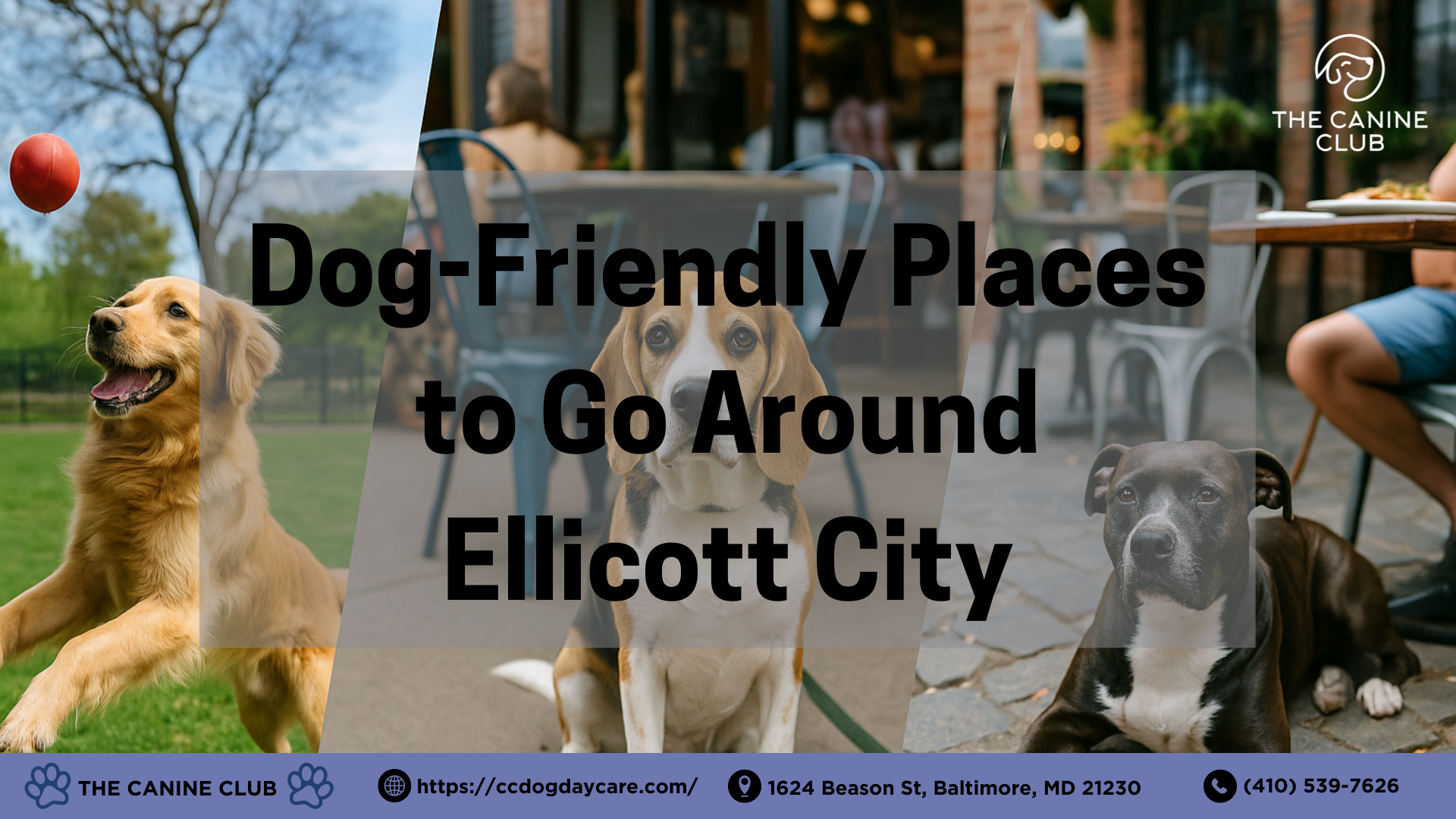 Dog-Friendly Places to Go Around Ellicott City