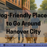 A sunny street scene in Hanover, MD, shows smiling dog owners walking their pups past dog-friendly cafés and restaurants with outdoor seating. Several dogs of different breeds relax near water bowls or walk alongside their humans, highlighting the city's welcoming, pet-friendly atmosphere.