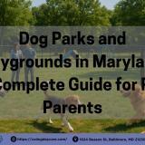 Several happy dogs play off-leash in a clean, fenced dog park in Maryland while two pet parents chat nearby. The park features grassy space, agility equipment, and a clearly marked 'Off-Leash Dog Area' sign, capturing a typical sunny weekend at one of Baltimore’s official dog parks.