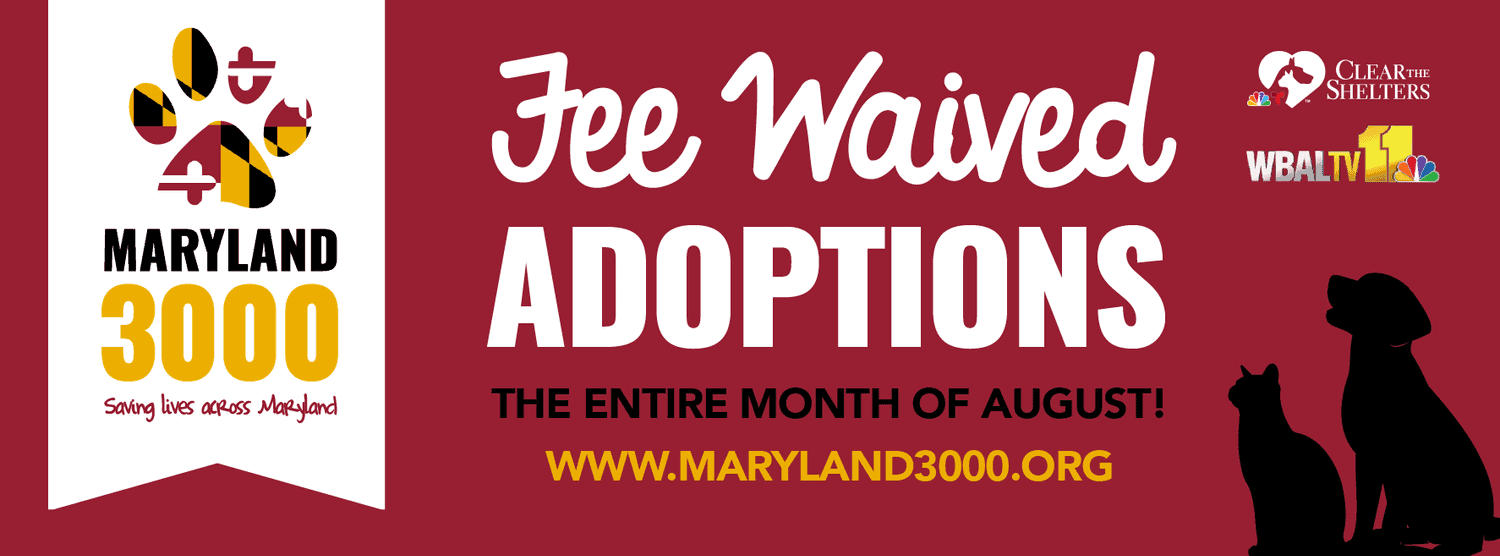 Maryland 3000 Waived Adoption Fees for August!
