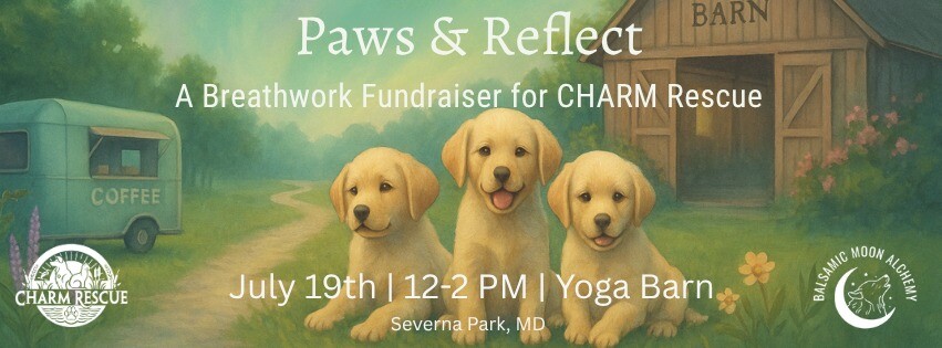 Paws and Reflect A Breathwork Fundraiser and Adoption Event