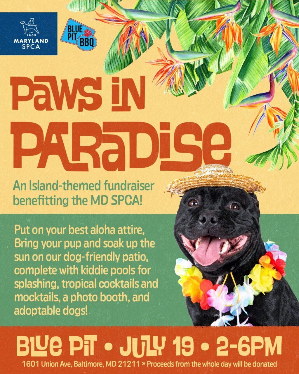 Paws in Paradise