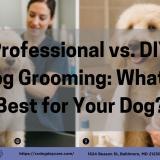 Split image of a fluffy dog being professionally groomed in a salon and gently brushed at home, showing the difference between DIY and professional dog grooming.