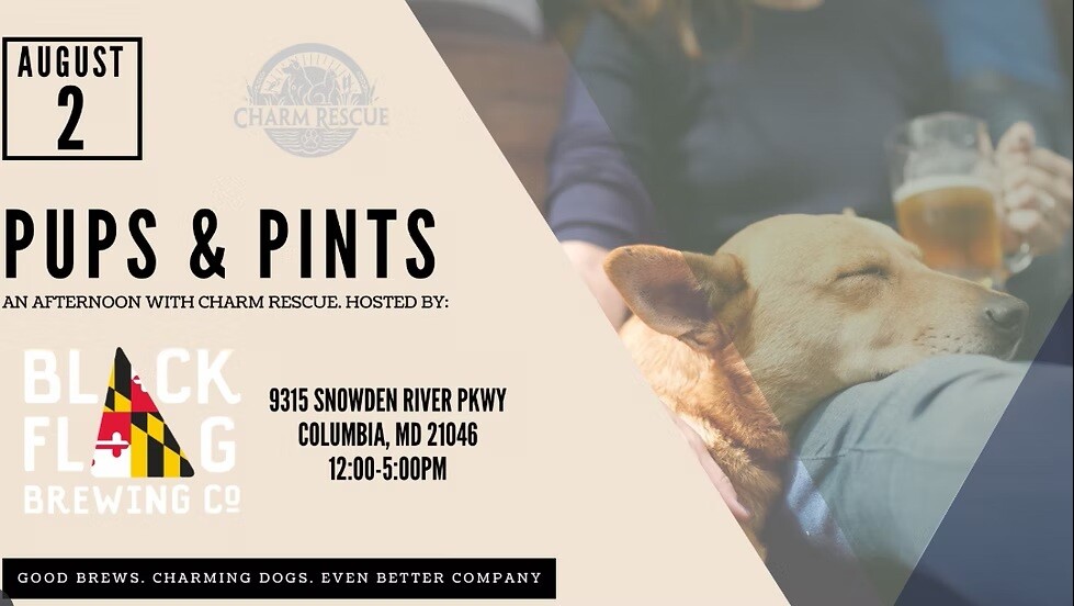 Pups & Pints Adoption Event with CHARM Rescue