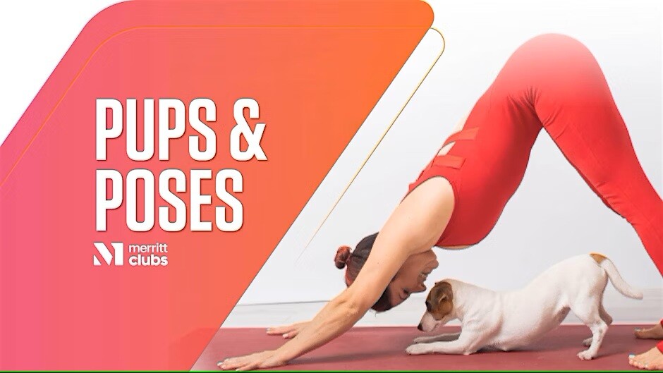  Pups & Poses Merritt Clubs