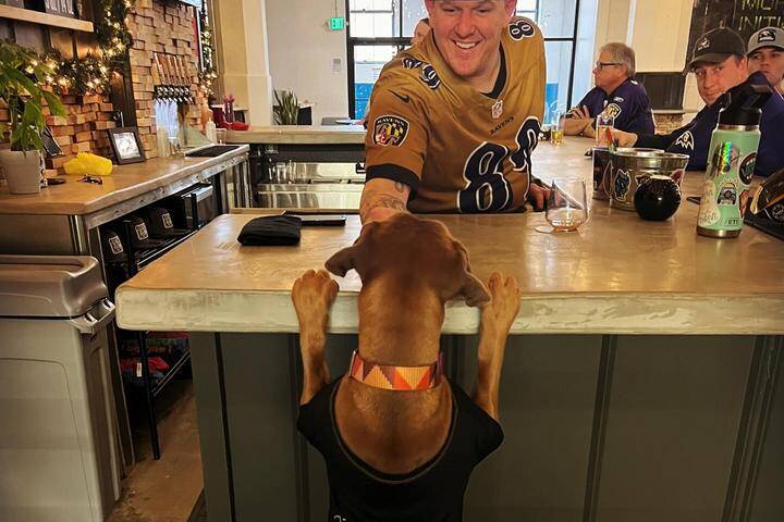 Bark & Brews