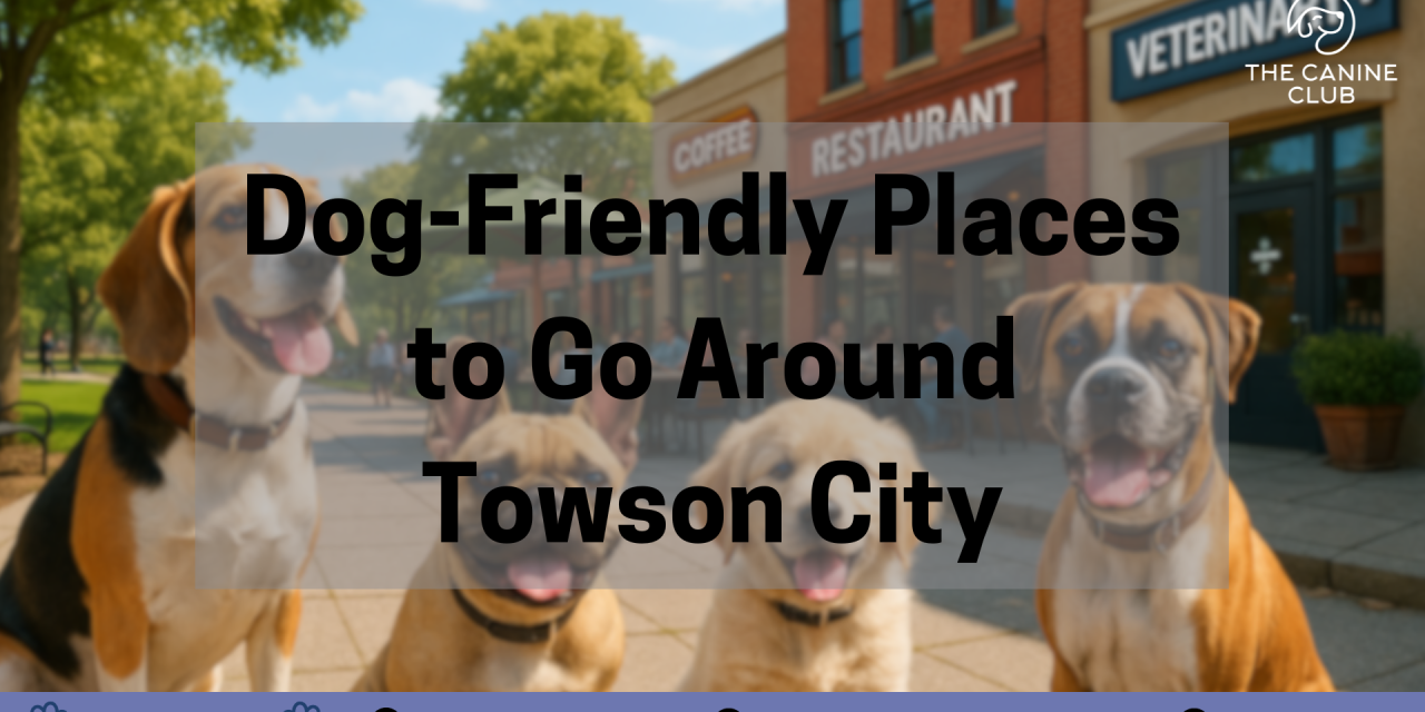Dog-Friendly Places to Go Around Towson City