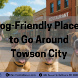 Four happy dogs sitting outside near dog-friendly parks, coffee shops, restaurants, and a veterinary clinic in Towson, MD—highlighting the city’s pet-friendly spots for dining, strolling, and care.