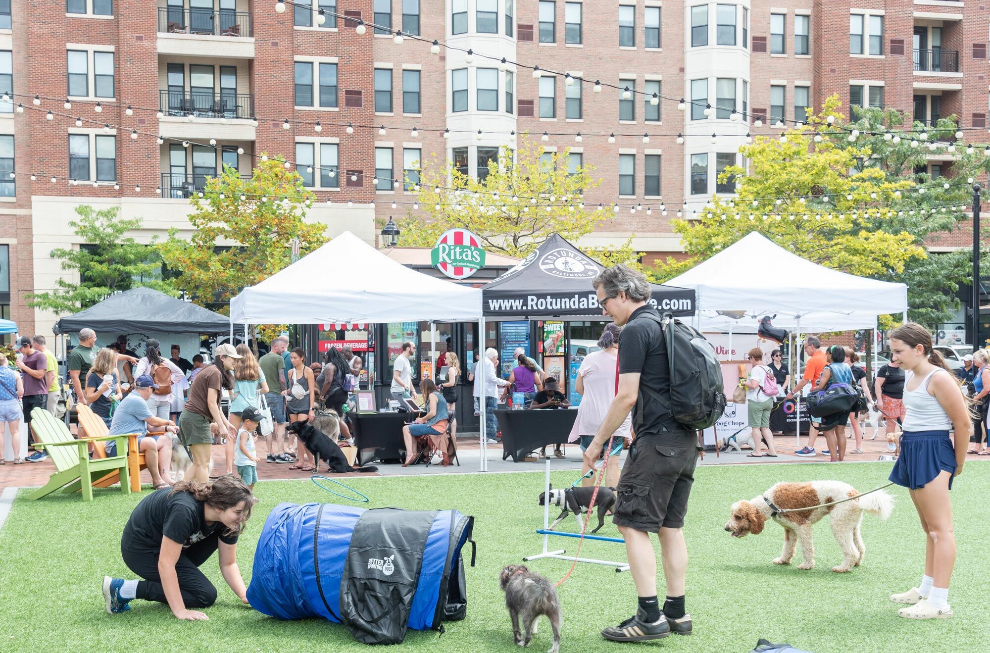 National Dog Day Festival 2025 at The Rotunda