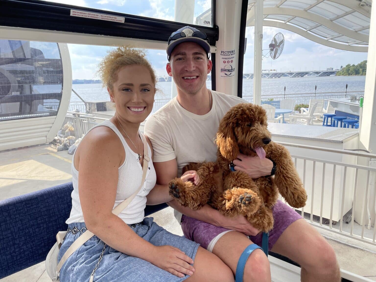 National Dog Day at The Capital Wheel
