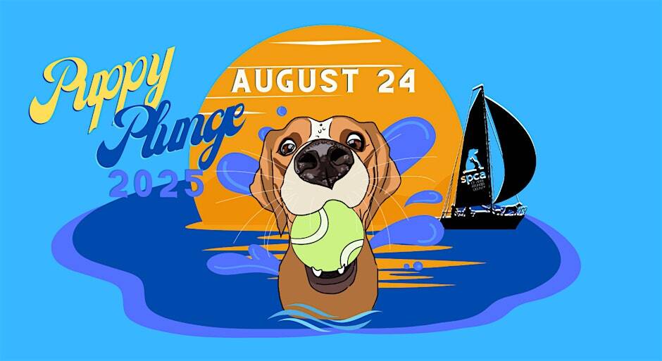 Puppy Plunge1