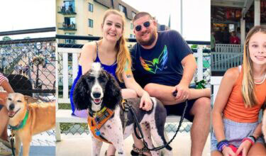 Yappy Hour Cruise