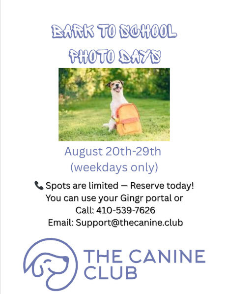 bark to school photos